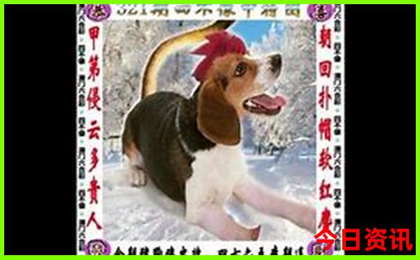 三天假期适合去哪里玩